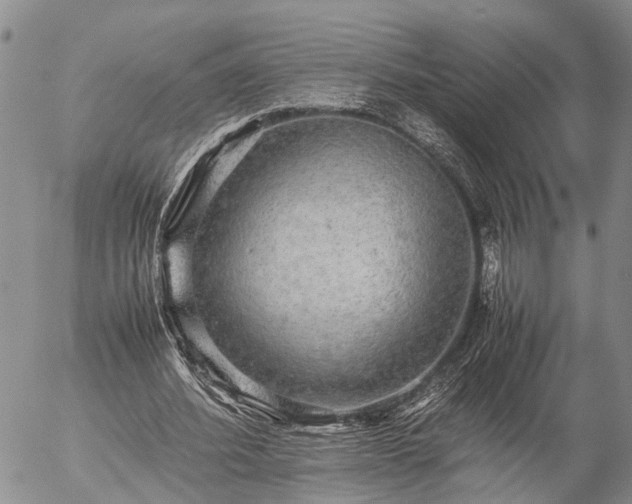 X0000057100580200509161657