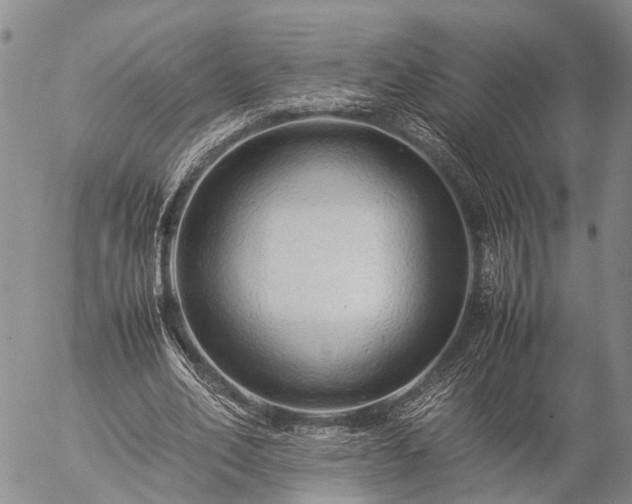 X0000057100582200509161657