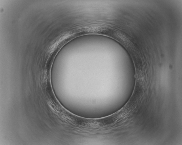 X0000057100583200509161657