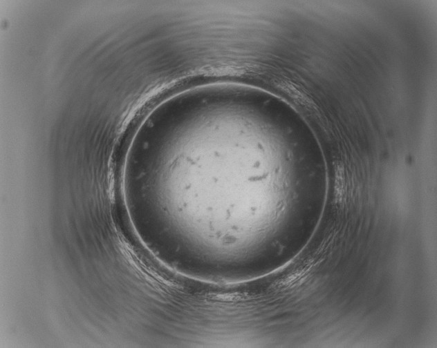 X0000057100584200509161657