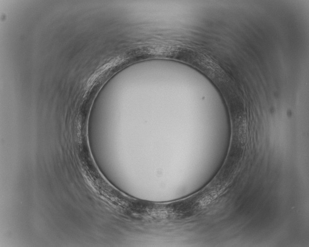 X0000057100587200509161657