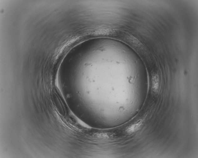 X0000057100588200509161657