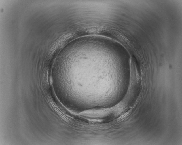 X0000057100589200509161657