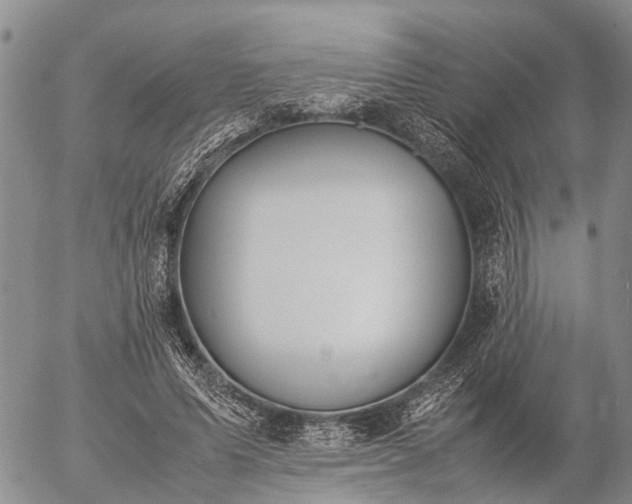 X0000057100591200509161657