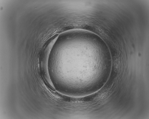 X0000057100593200509161657