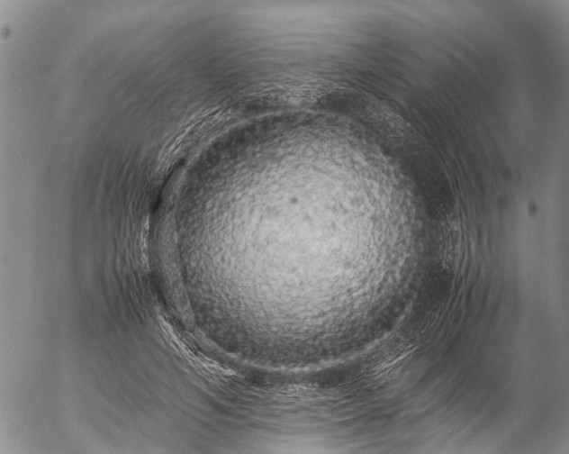 X0000057100594200509161657