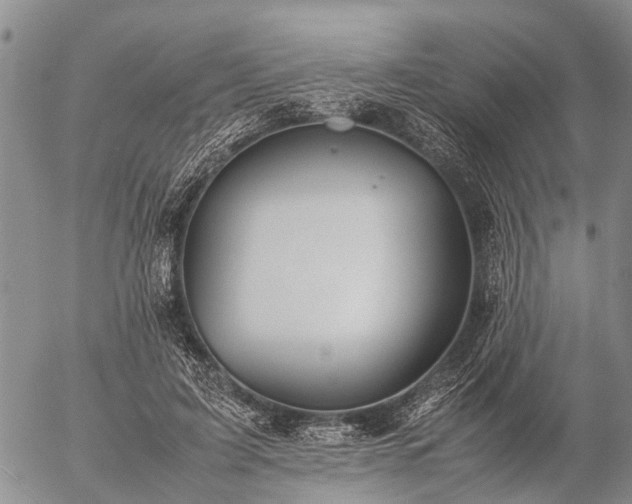 X0000057100595200509161657