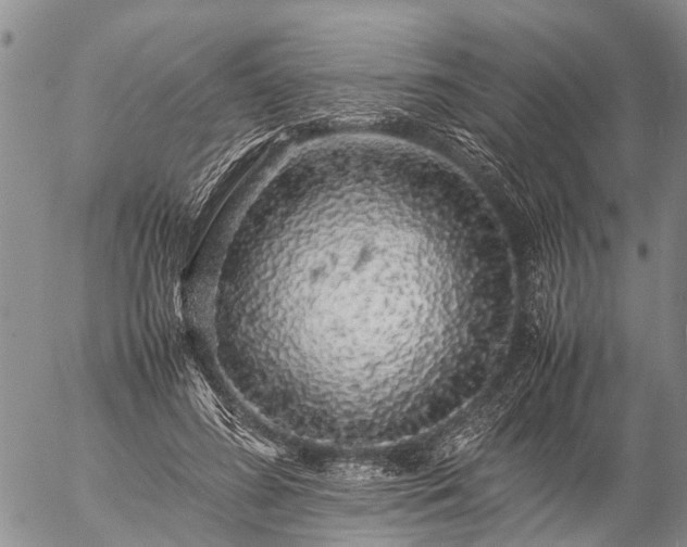 X0000057100596200509161656