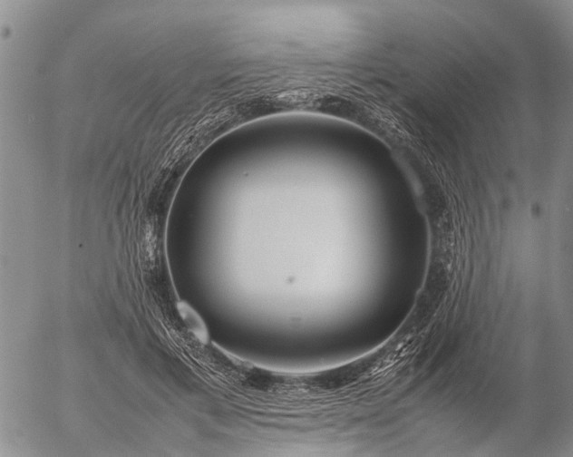 X0000057100597200509161656