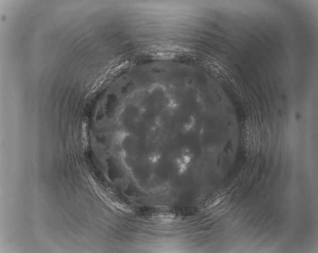 X0000057100598200509161656