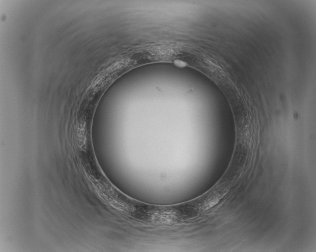 X0000057100599200509161656