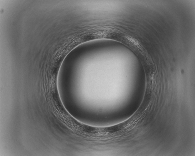 X0000057100601200509161656