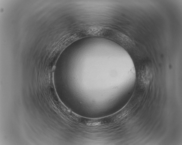 X0000057100602200509161656