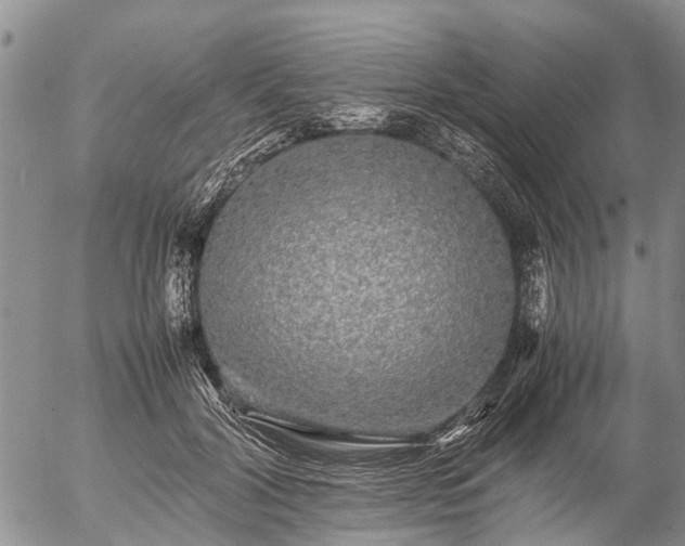 X0000057100604200509161656