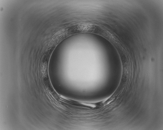 X0000057100605200509161656