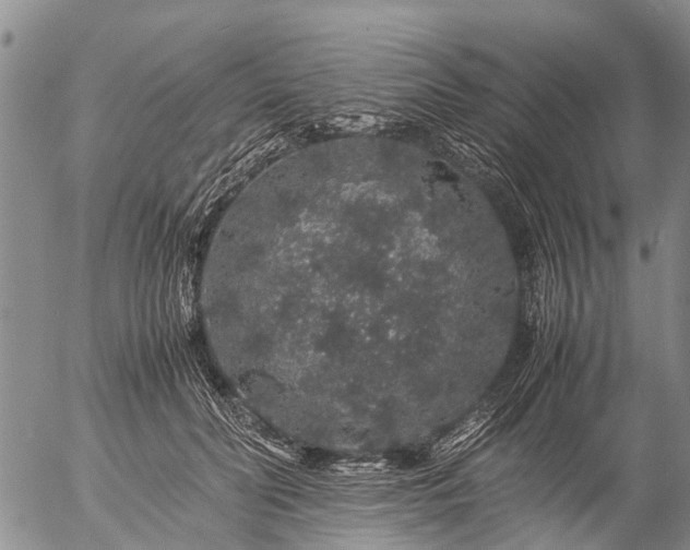 X0000057100606200509161656