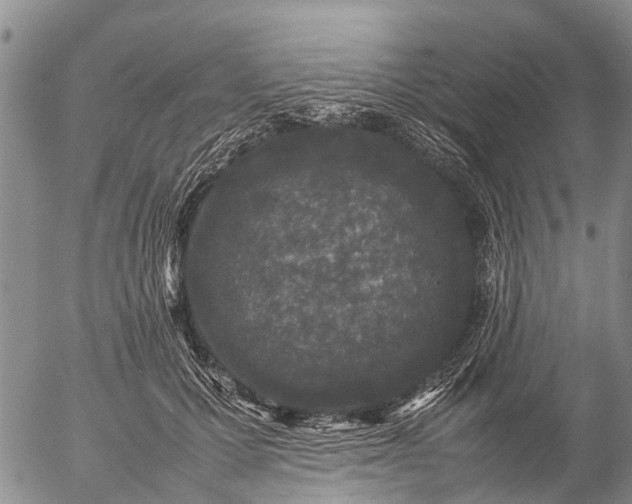 X0000057100607200509161656