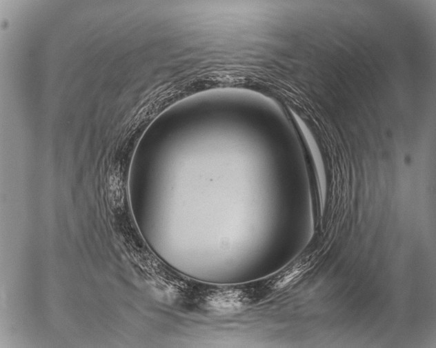 X0000057100609200509161656