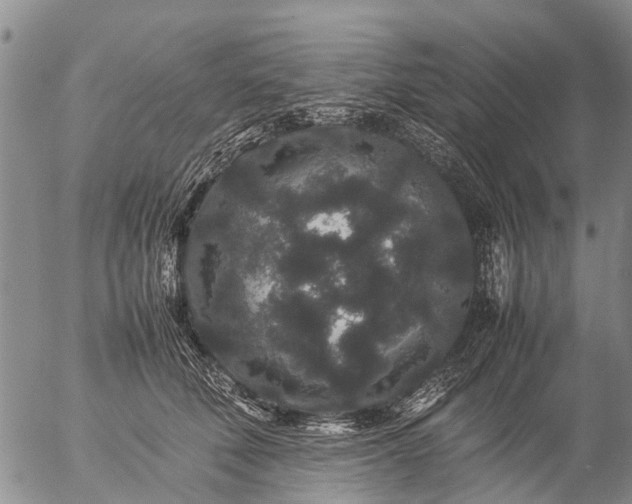 X0000057100610200509161656