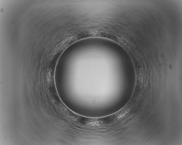 X0000057100611200509161656