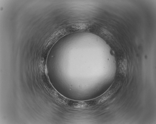 X0000057100612200509161656