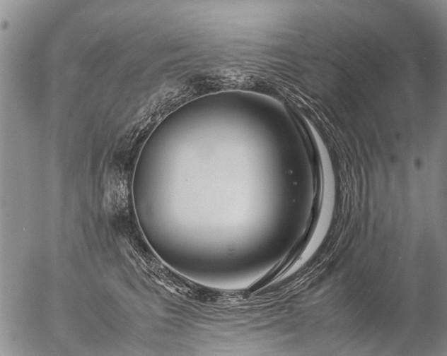 X0000057100613200509161656