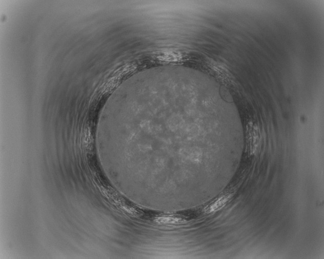 X0000057100614200509161656