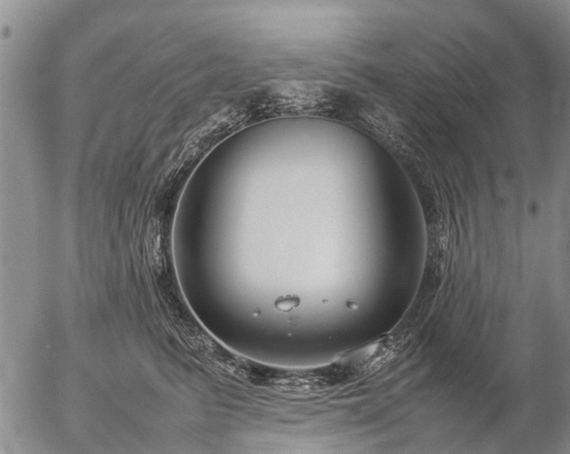 X0000057100615200509161656