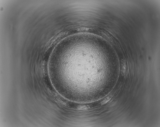 X0000057100616200509161656