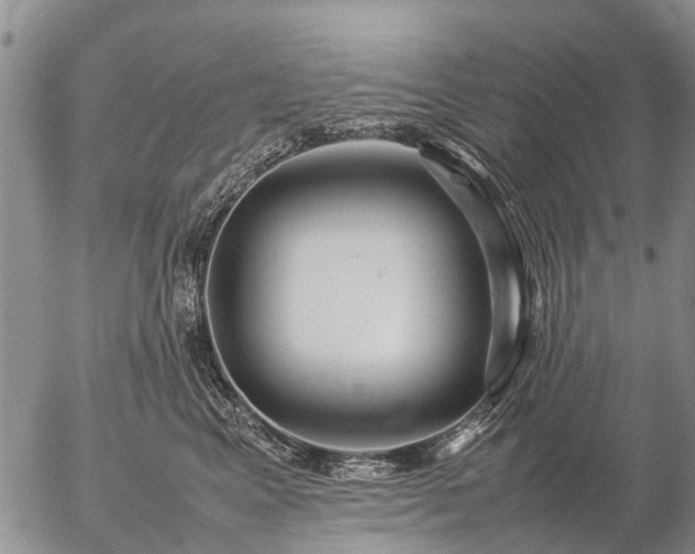 X0000057100617200509161656