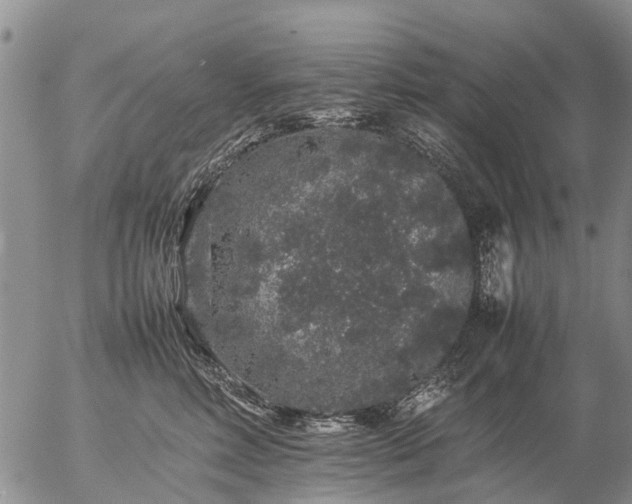 X0000057100618200509161656