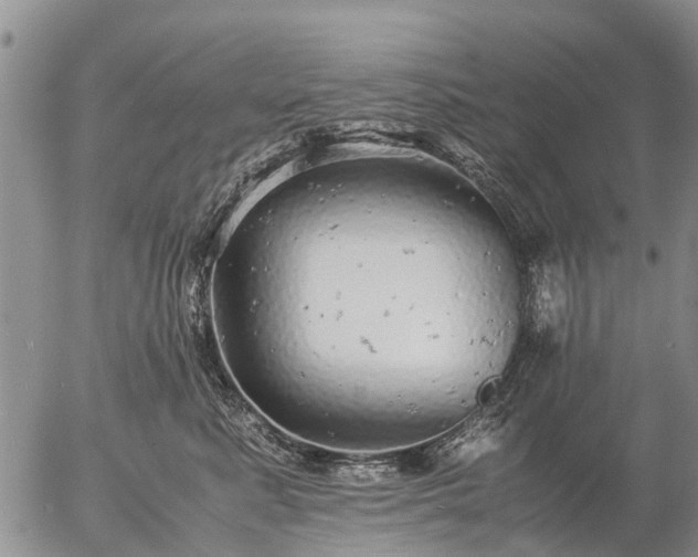 X0000057100619200509161656