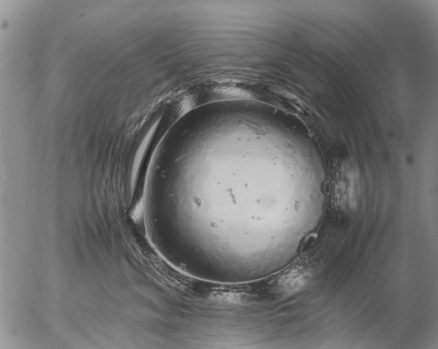 X0000057100620200509161656