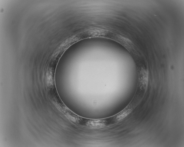 X0000057100622200509161656