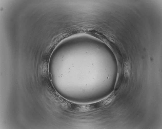 X0000057100623200509161656