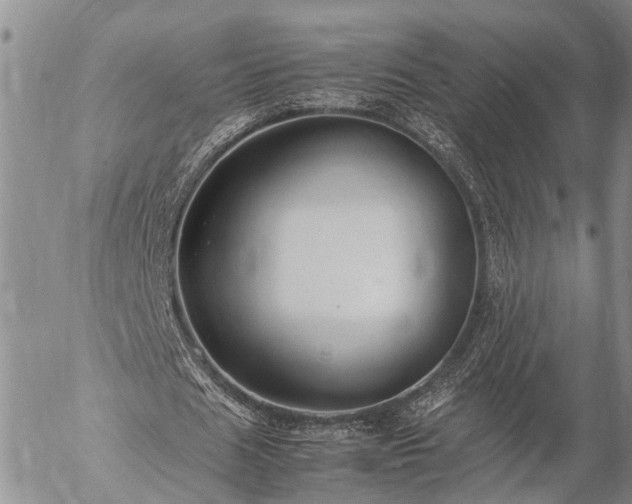 X0000057100625200509161655