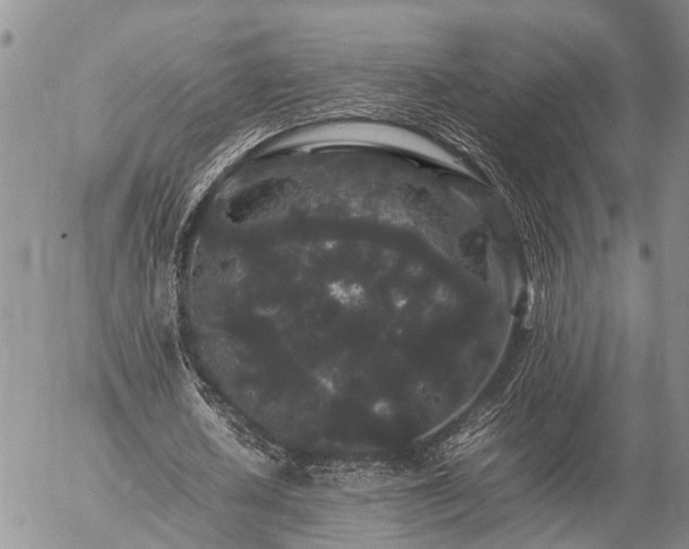 X0000057100626200509161655