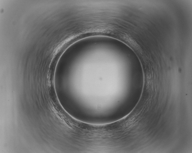 X0000057100628200509161655