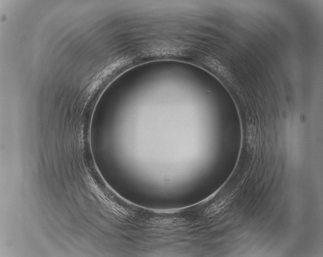 X0000057100629200509161655