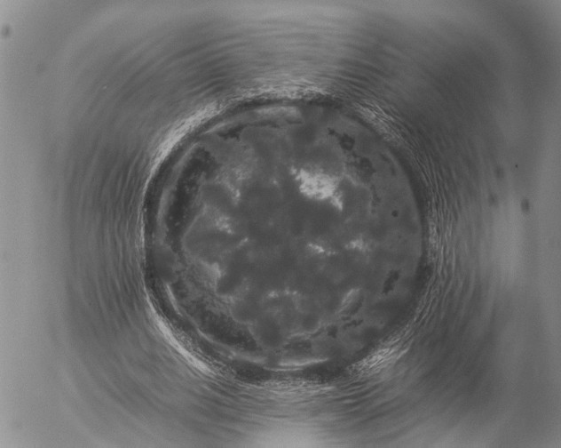 X0000057100630200509161655