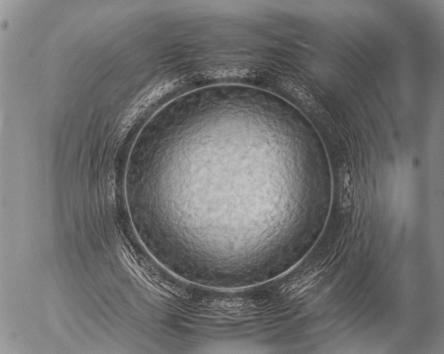 X0000057100631200509161655