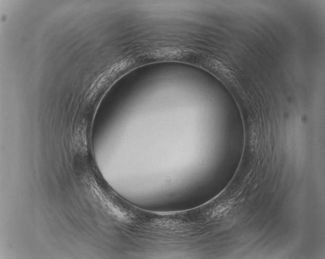 X0000057100633200509161655