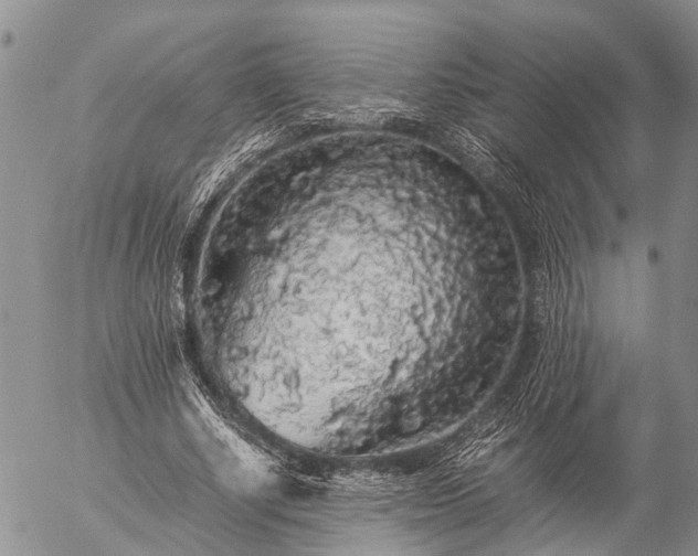 X0000057100634200509161655