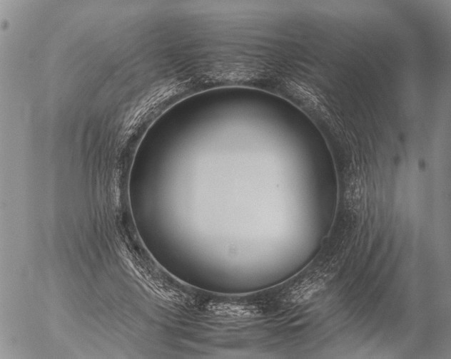 X0000057100635200509161655