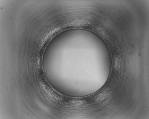 X0000057100636200509161655