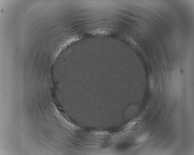 X0000057100637200509161655