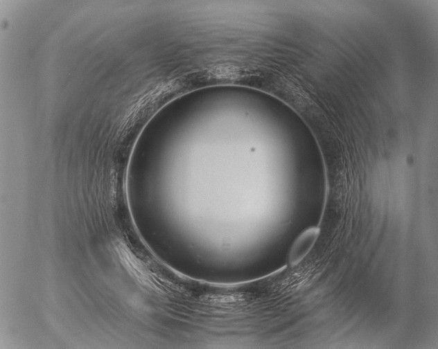 X0000057100639200509161655