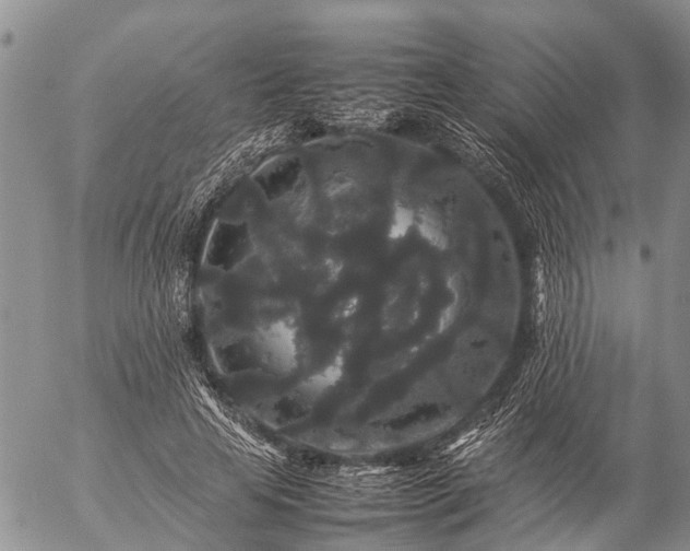 X0000057100641200509161656