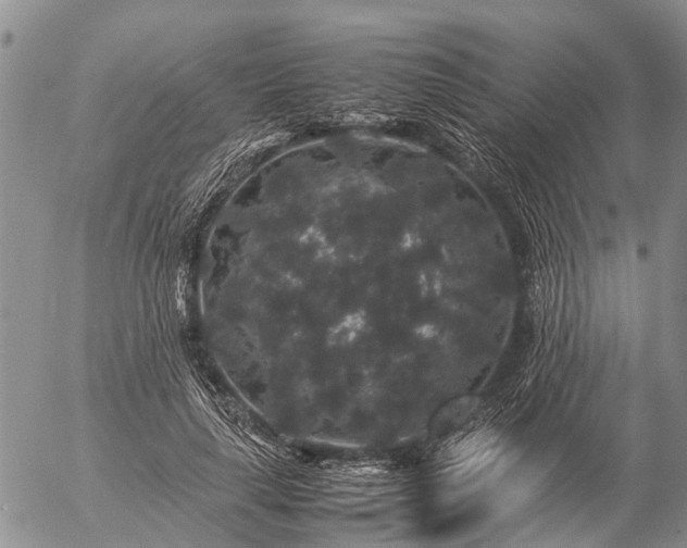 X0000057100643200509161656