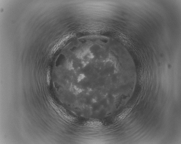 X0000057100644200509161656